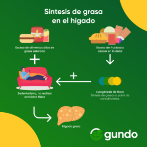 Grasa en el hígado