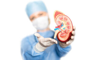 Causas de la enfermedad renal