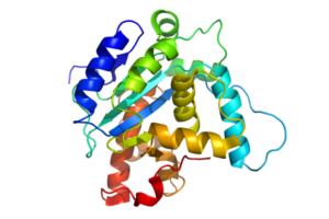estructura molecular de una preoteina