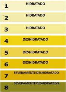 como medir hidratacion en futbolistas
