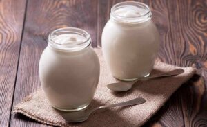 yogur natural con probioticos