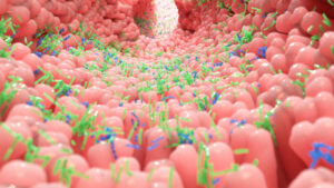 Beneficios de los vegetales en la microbiota intestinal