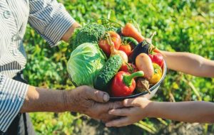 alimentacion sustentable