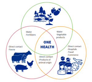 salud integrativa, alimentación sustentable