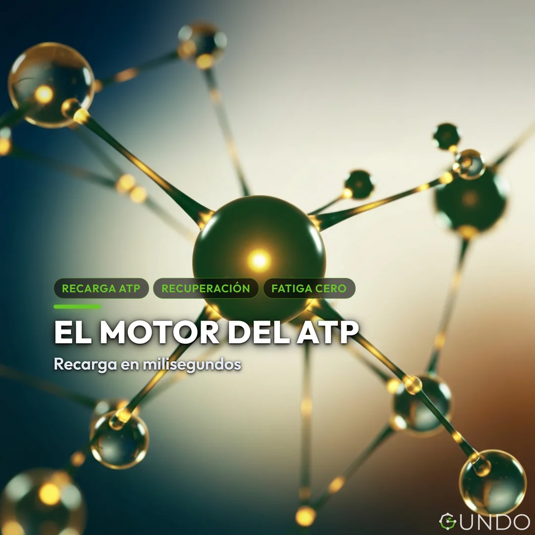creatina para mujeres - El Motor del ATP
