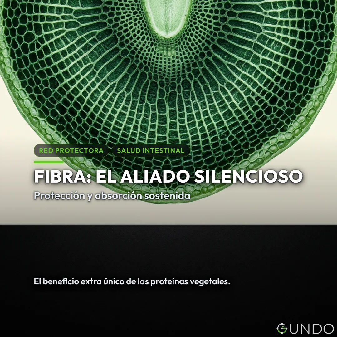 mejor elección - Fibra: El Aliado Silencioso