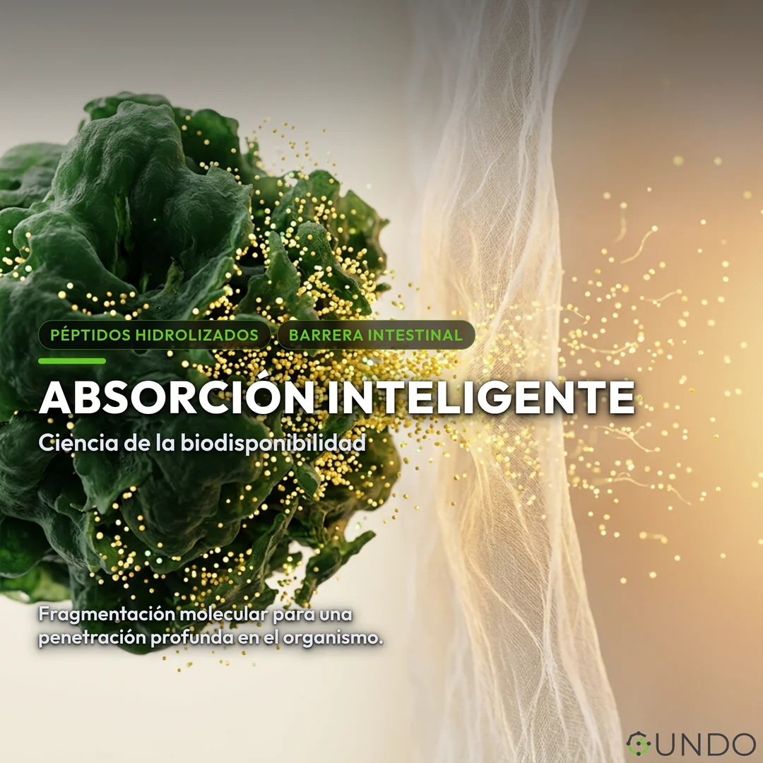 nutricosmética - Absorción Inteligente