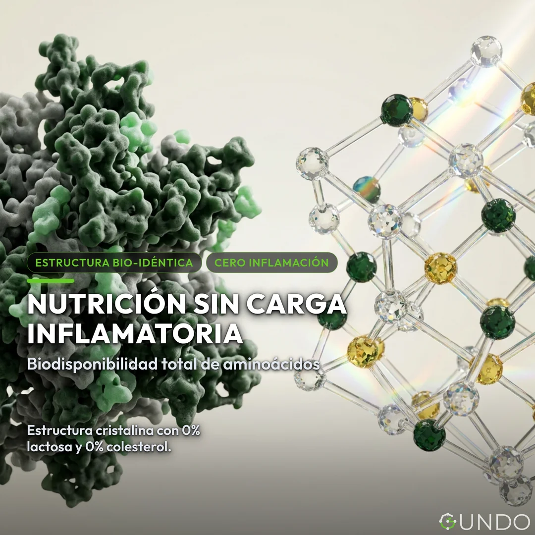 nutrición fitness - Nutrición sin Carga Inflamatoria