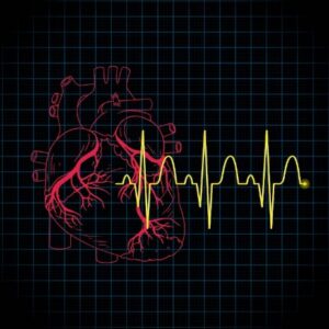 HRV: La Clave para una Vida Equilibrada y Libre de Estrés